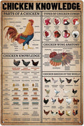 SUPERDANT Farm Chicken Knowledges Metal Tin Sign Vintage Farm Tin Poster Painting Plaque Wall Art Poster Old Fashion Aluminum Sign for Farmhouse Home Kitchen Decor 20×30 CM