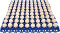 Rite Farm Products 12 90 Egg Plastic Trays Quail Pigeon Dove Bird Flat Carton