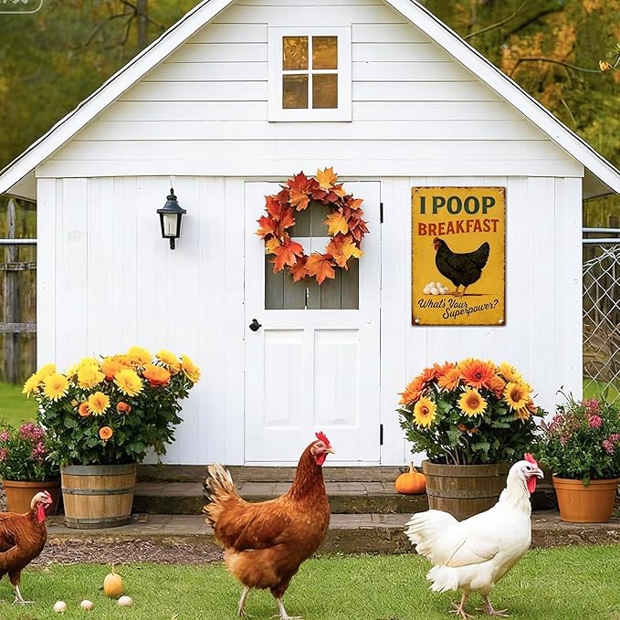 Chicken Metal Decor Sign Funny Vintage Metal Tin Sign Wall Art Decor I POOP Breakfast Chickens Coop Signs for Home Farm Chicken Coop Farmhouse Kicthen Garden Decor 8 X 12 Inch