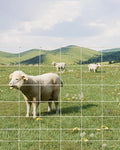 9GA Cattle Farm Fence, 4 ft x 164 ft Galvanized Goat Deer Fence, Heavy Zinc Coating Hog Wire Fencing for Farm Livestock Animals Protection (4 ft x 164 ft)