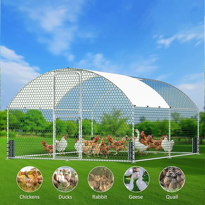 Large Metal Chicken Coop, Walk-in Chicken Run with Feeding Door, Security Lock and Cover, Outdoor Duck/Rabbit Cage Poultry Pen for Backyard, Farm, Yard (Silver - Dome Roof, 13.1 x 9.8 x 6.6 FT)