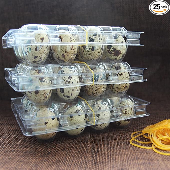 Plastic Quail Egg Cartons, 25 Pack, 12 Tray, Small Egg Display Container