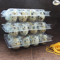 Plastic Quail Egg Cartons, 25 Pack, 12 Tray, Small Egg Display Container