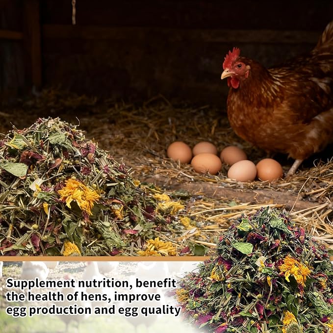 18oz Chicken Nesting Herbs and Herb Supplement for Chickens Natural Non GMO Nesting Box Herbs to Improve Egg Production and Hen Wellness Fresh Coop Odor Control and Coop Refresher for Chickens