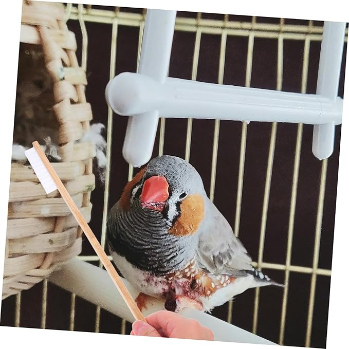 Toyvian 2pcs Bird Cage Cleaning Brush Set Droppings Scoop Easy Handling Tools for Bird and Small Animal Cages Quick and Home Cleaning Supplies