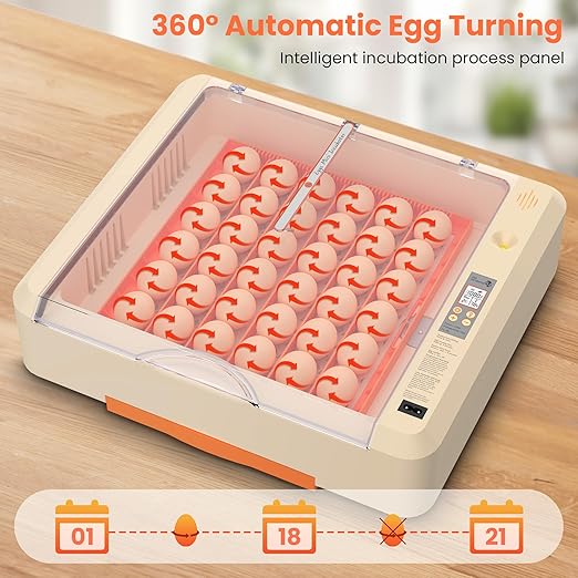 36-60 Egg Incubator with Automatic Egg Turning and Humidity Control, Adjustable Chicken Egg Incubator with Digital Display, for Hatching Eggs Include Chicken Duck Quail Eggs(Orange)
