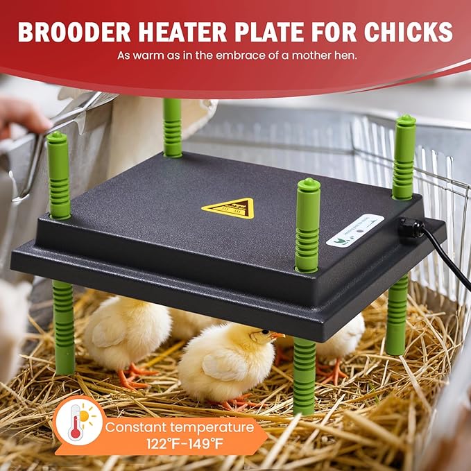Chicken Brooder Box for Chick Starter Kit - 10 * 12inch Brooder Heating Plate Chick Brooder Pen Chicken Brooder Box 4-in-1 Bundles with Chicken Feeder, Waterer (Brooder Set,Red)