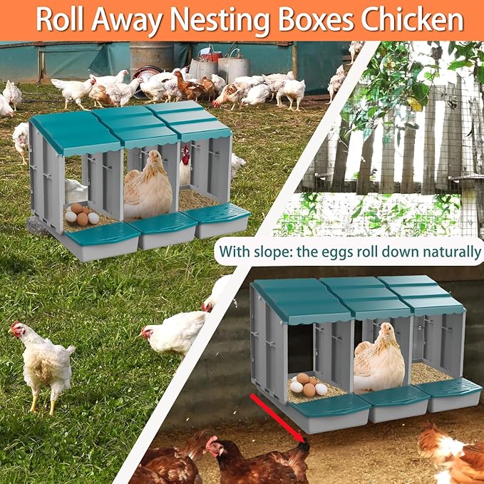 Nesting Boxes for Chickens, Roll Away Chicken Nesting Boxes with Egg Collection for Easy Picking & Protecting Eggs, 6-Compartment Chicken Laying Boxes for Hens, Easy to Clean & Install
