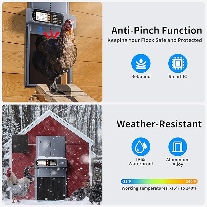 Automatic Chicken Coop Door Solar Powered with Timer, Light Sensor, Remote Control, Anti-Pinch, Waterproof, Aluminum Coop Door, 4 Auto Modes, Comfort Larger Size Duck Chicken Turkey House Door