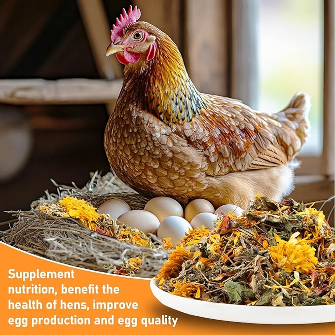 MAQIHAN 15oz Chicken Nesting Herbs - Dried Herbs for Laying Hens to Support Egg Production,Feather Quality,Daily Wellness,Natural Chicken Treats & Poultry Feed Botanical Mix for Coop