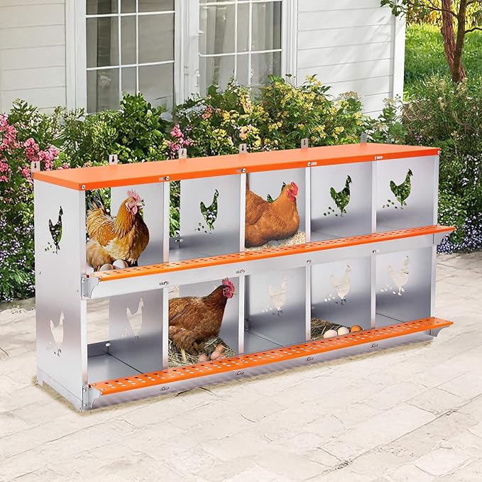 Chicken Nesting Boxes, 10 Rooms Hens Nest Box, Metal Poultry Nest Box Wall Mount for Chickens Egg Laying Box Collection Vented Holes Chicken Coop Cages Equipment, Orange (10 Rooms)