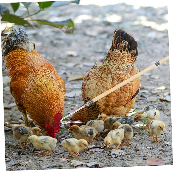 Chicken Catcher Tool for Poultry Handling Quick and Capture of Chickens Ducks and Geese Versatile Farm Equipment for Efficient Animal Management