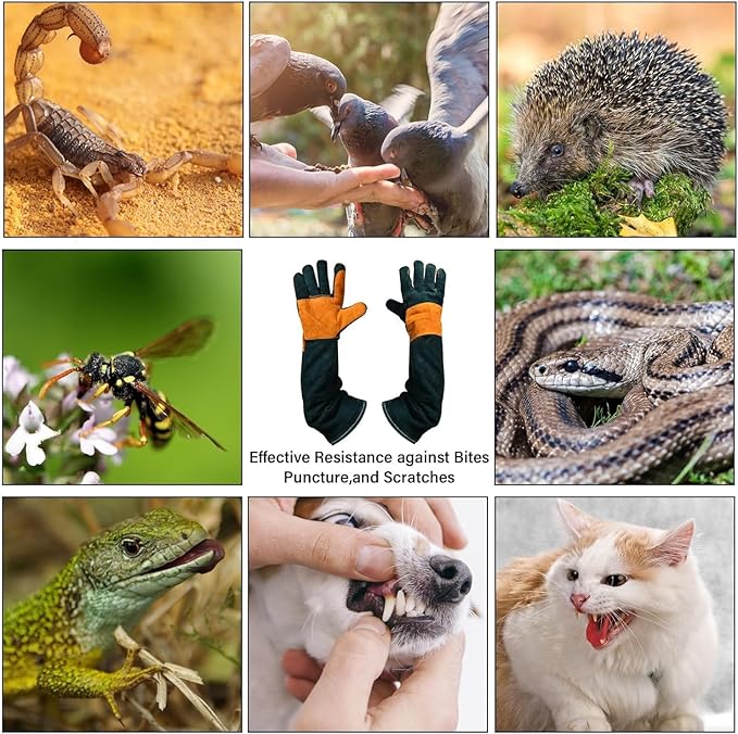Animal Handing Gloves Bite Proof,Leather Welding Gloves,Multipurpose Puncture Proof Glove for Dog,Cat,Reptile,Snake