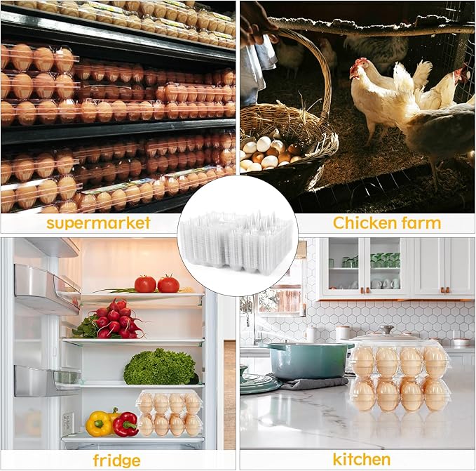 AYSUM 80 Pack Plastic Egg Cartons Cheap Bulk 12 Count, Clear Blank Egg Cartons 3 * 4 Grids, Perfect for Refrigerator Chicken Farm Markets - Medium
