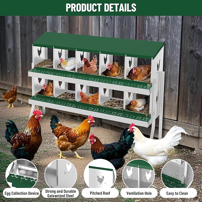 Metal Chicken Nesting Box, 10 Compartments, Rollout Egg Collection, Large Vented Holes, Perch Included, Wall Mount or Free Standing Laying Box for Hens and Chickens - Green with Legs