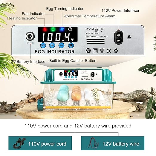 Incubators for Hatching 16 Eggs, Egg Incubator with Automatic Egg Turning and Humidity Fill, Temperature Control, Incubator with Adjustable Rollers for Chickens, Ducks, Geese, and Quails