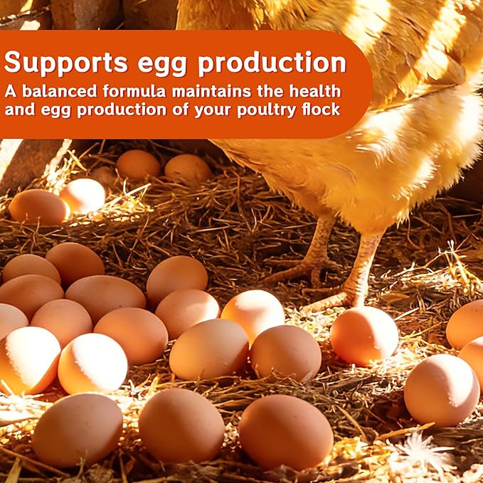 Probiotic + Electrolyte Powder for Chickens, Natural Hydration & Gut Support, Helps Digestive Health, Egg Production