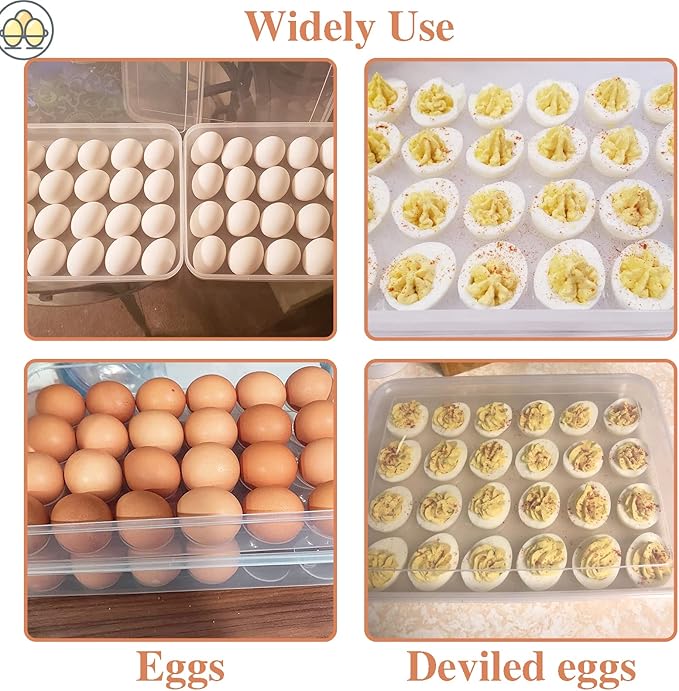 Anyumocz 2 Pack Covered Egg Holder,Clear Egg Holder Storage Container,Stackable Plastic Refrigerator Egg Trays for Deviled Egg,Protect and Keep Fresh(48 Eggs)