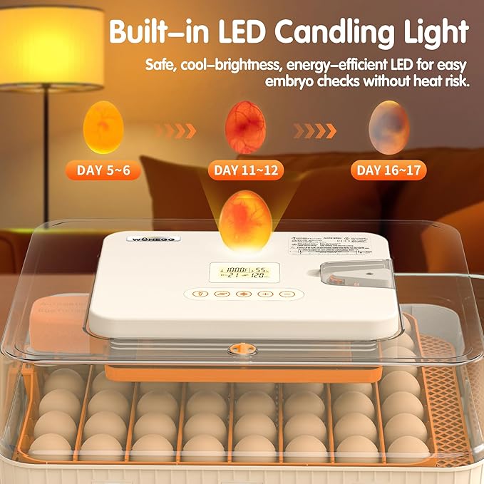 Incubator for Hatching Eggs, 56 Eggs Incubator with Automatic Egg Turning, Temperature & Humidity Control, LED Egg Candler, Incubation Days Display, for Chicken, Duck, Goose, Quail, Parrot Bird Eggs