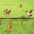 Chicken Toys,Extra Long Chicken Perch Toys,Woodern Chickens Roosts and Perches Stand Training Perch for Poultry Rooster Chicks Large Bird Chicks Parrot, 44.88” Long (Antique Color)