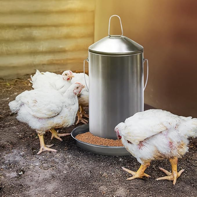 Plexon 8.8 Lb Poultry Feeder Stainless Steel Hanging Chicken Feeder no Waste Food-Grade with 6 Gallon Galvanized Storage Bucket with Locking Lid for Bird Seed Chicken Feed, Bundle