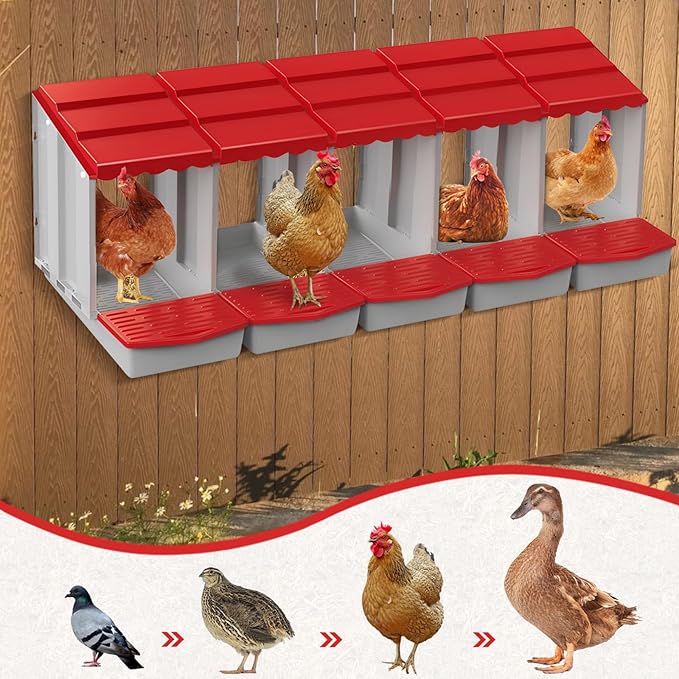 Chicken Nesting Boxes,5 Hole Nesting Box for Chicken Coop, Rolling Egg Collection and Protection Nesting Boxes