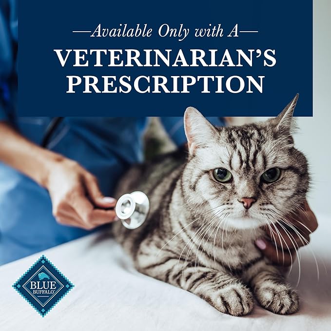 Blue Buffalo Natural Veterinary Diet K+M Kidney + Mobility Support Wet Cat Food, Chicken 5.5-oz cans (Pack of 24)