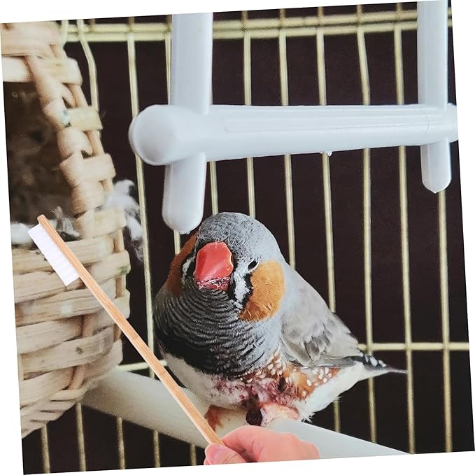 2pcs Bird Cage Cleaning Brush Set Brush Scoop for Pet Bird Care Cage Cleaning Tools