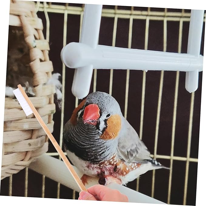 2pcs Bird Cage Cleaning Brush Set Droppings Shovel Essential Cleaning Tools for Bird and Small Animal Cages Sturdy and Effective PET Accessories