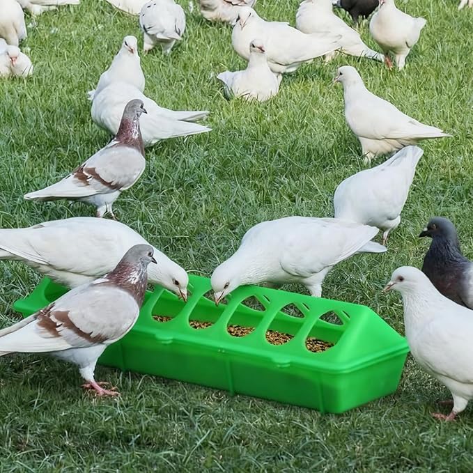 2 Pack Chicken Feeder 16 Holes Chick Feeder No Waste 30cm Chicken Feeder and Waterer Set Poultry Feeders for Chicken Chick Birds Pigeon Coop