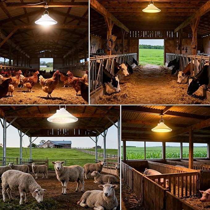 Solar Chicken Coop Light with Timer | Three-Color Dimmable LED, IP66 Waterproof Hanging Ceiling Pendant Light Suitable for Poultry Farms,Coops,Patio,Camping,Garage etc (White)