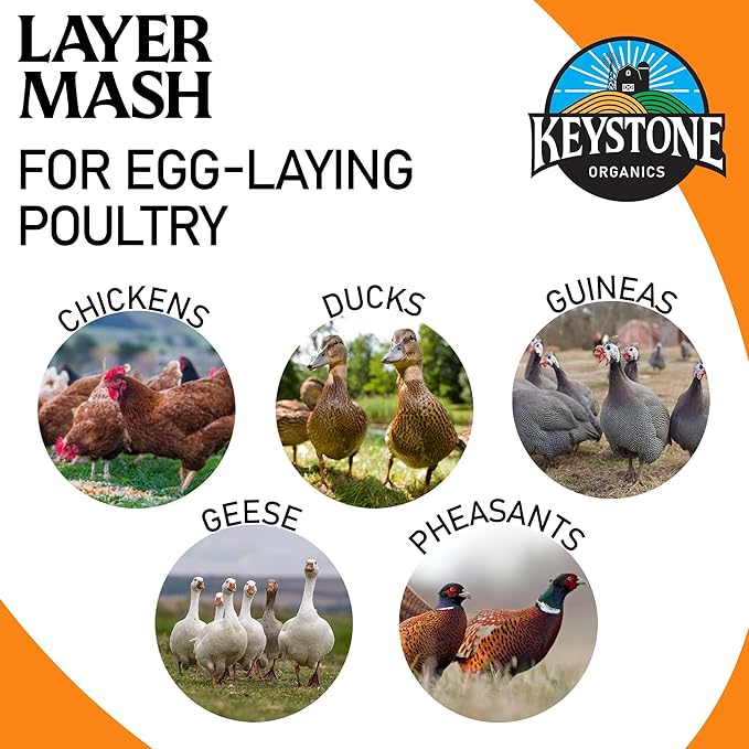 Layer Mash Chicken Feed – 44lb Bag – Non-GMO, High Calcium for Strong Eggshells – for Chickens, Ducks, Geese, Pheasants & Guineas – No Artificial Hormones