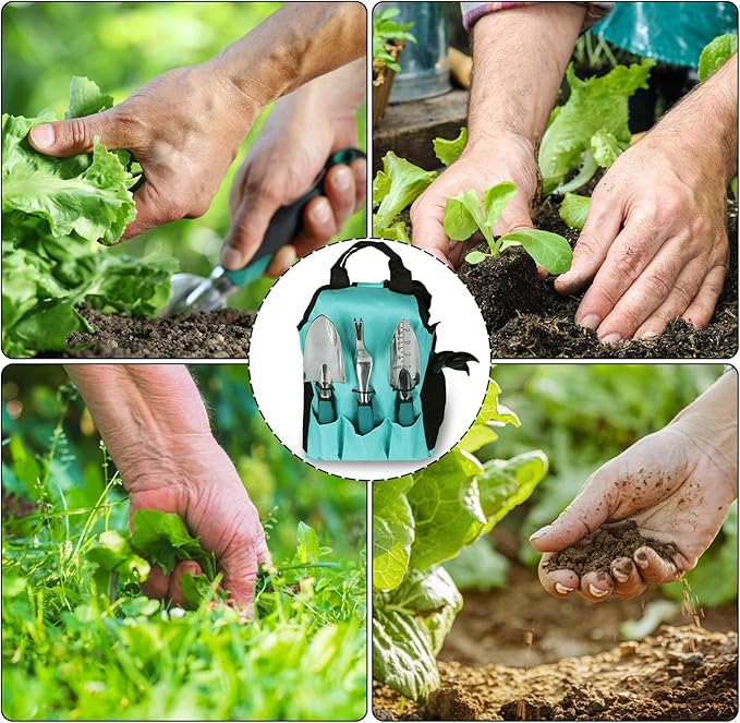 Garden Tools, Gardening Tool Set with Non-Slip Handles, Lightweight Aluminum Alloy Rust-Proof Gardening Hand Tools with Gloves Ideal Gardening Tools Gifts for Women and Men (11 Pcs)