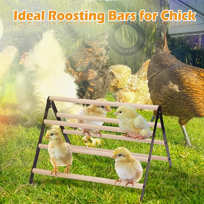 16.5" Lx13.4 Wx9.8 H Large Metal Stable Chick Perch - Wooden Baby Chicks Roosting Bars, Easy to Assemble & Clean Stand Ladder Fun Toys for Coop Accessories