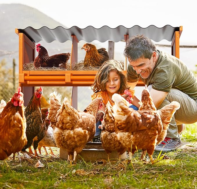 2-Tier Chicken Nesting Box, 6 Compartment Wooden Nesting Box for Chickens with Waterproof Roof, Non-Slip Stable Base, Heavy Duty Chicken Laying Boxes for Hens, Duck, Poultry, Bird, Orange