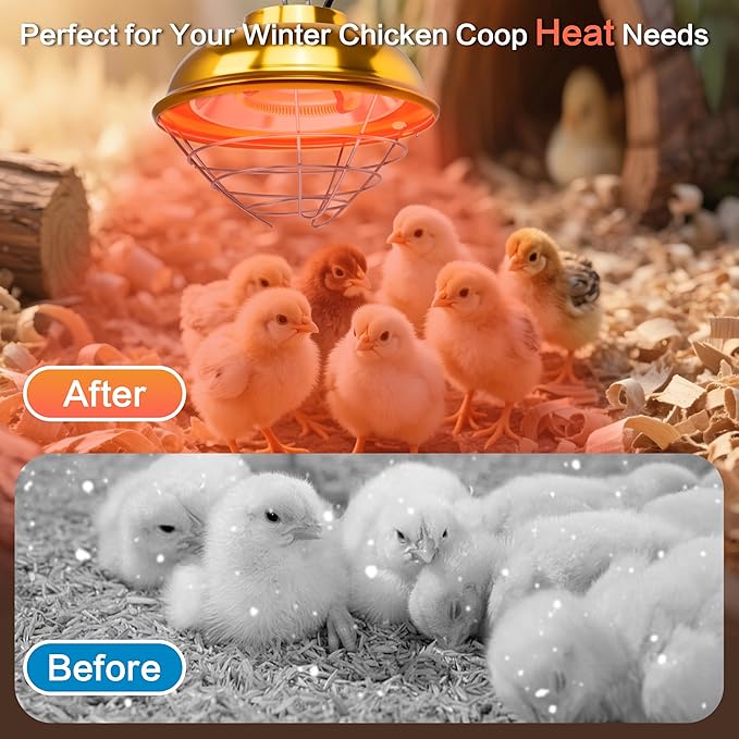 300W Heat Lamp for Chickens Coop, Waterproof Chicken Coop Heater Lamp, Adjust 2 Mode Temperature&Hanging Height for Indoor Outdoor Suitable for Chick, Duck, Rabbit and Dog