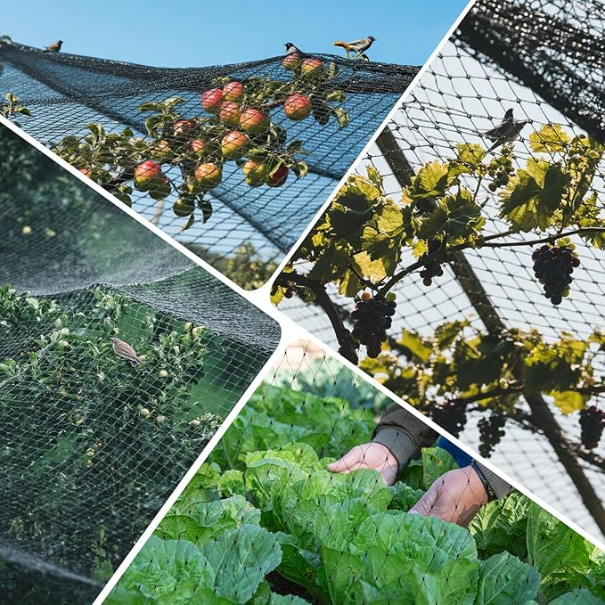GWHOLE 33x13 Ft Garden Bird Netting for Garden Plant Tree Protection Chicken Coop Pond Net, Black