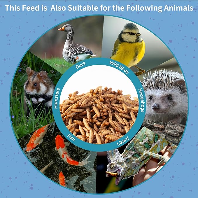 5LB Dried Black Soldier Fly Larvae for Chickens - 85X More Calcium Than Mealworms for Strong Eggshells, High-Protein Chickens Treats for Laying hens, Birds, Ducks