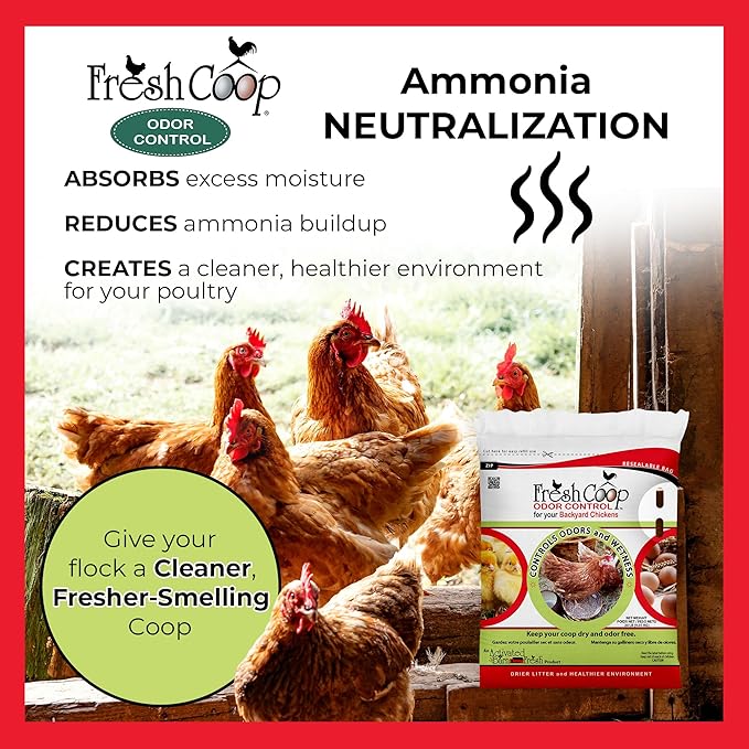 Progressive Planet Fresh Coop 20lb Odor Control + 20lb Dust Bath Bundle - Natural Coop Care for a Fresher Flock - Ammonia Neutralizer & Feather Conditioning Dust Bath - OMRI Listed, Safe for Poultry
