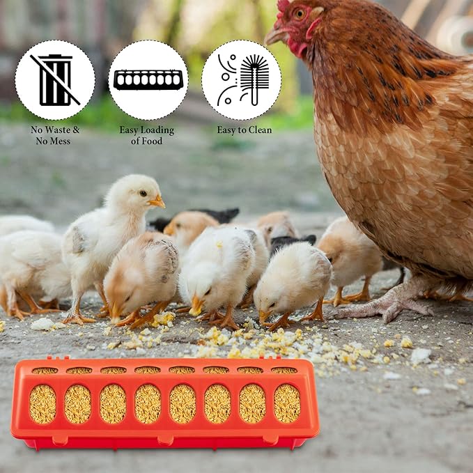 8 Pack Plastic Flip Top Small Poultry Feeder Quail Feeder Baby Chick Ducklings Feeder Red No Mess No Waste Multihole Poultry Feeding Dish Dispenser for Pigeon Chicken Bird
