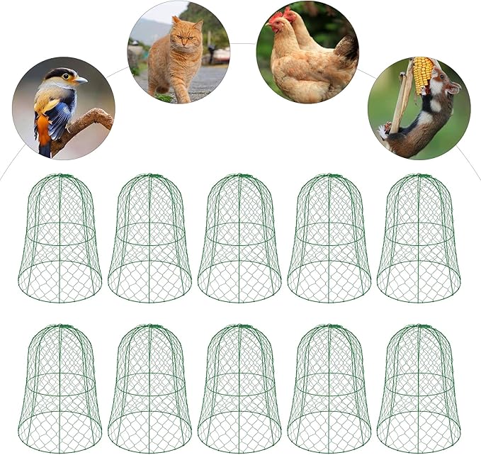 YIYIBYUS Garden Chicken Wire Cloche, 12.99" Diameter x 15.75" Height Plant Protective Covers Metal Cage Plant Protector Cover for Gardens, Parks, Yards, Balconies, Farms (10pcs, Green)