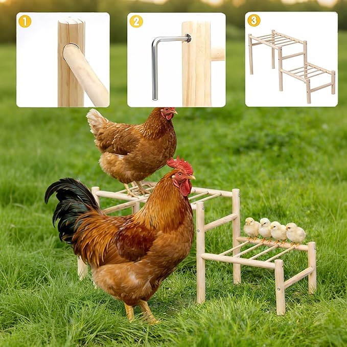 Chick Perch for Coop & Brooder, 25" x 9'' x 11" Wooden Chick Roosting Ladder for Pet's Healthy & Happy, Easy to Assemble, Jungle Gym & Toys for Poultry, Suitable for Backyard Farm