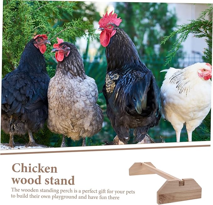BESPORTBLE Bite Resistant Wooden Chicken Perch Stand for Hens and Birds Safe Chewable Roosting Bar for Chick Brooder and Coop Natural Bird Perches for Parrots and Pets Chick Training