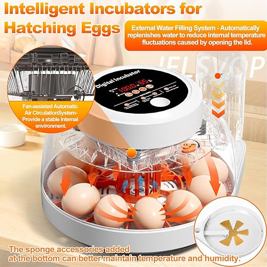 Upgraded Egg Incubator for Hatching Eggs, 12 Egg Capacity with Automatic Egg Turner, Temperature & Humidity Control, LED Egg Candler, Chick Incubator for Chicken, Duck & Quail Eggs