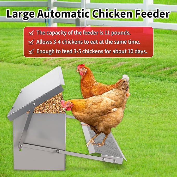 Automatic Chicken Feeder No Waste Large Poultry Stainless Steel with Weatherproof Lid Treadle Rat Proof Chicken Feeder Trough for Chicken Duck Gravity Food Dispenser