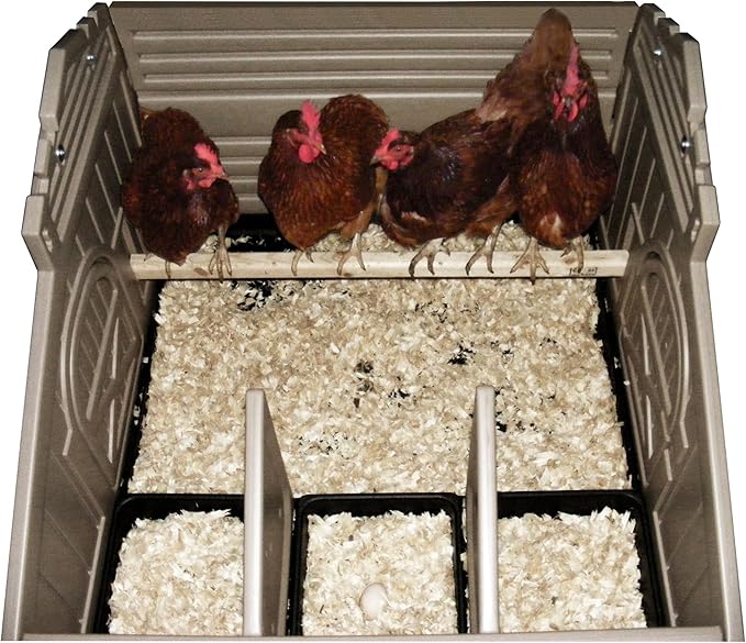 SnapLock Formex Standard Chicken Coop for 4 Chickens – Durable Plastic Hen House with Easy Assembly, Ventilation, Removable Tray & Walk-in Access | Lightweight Outdoor Casa para Gallinas