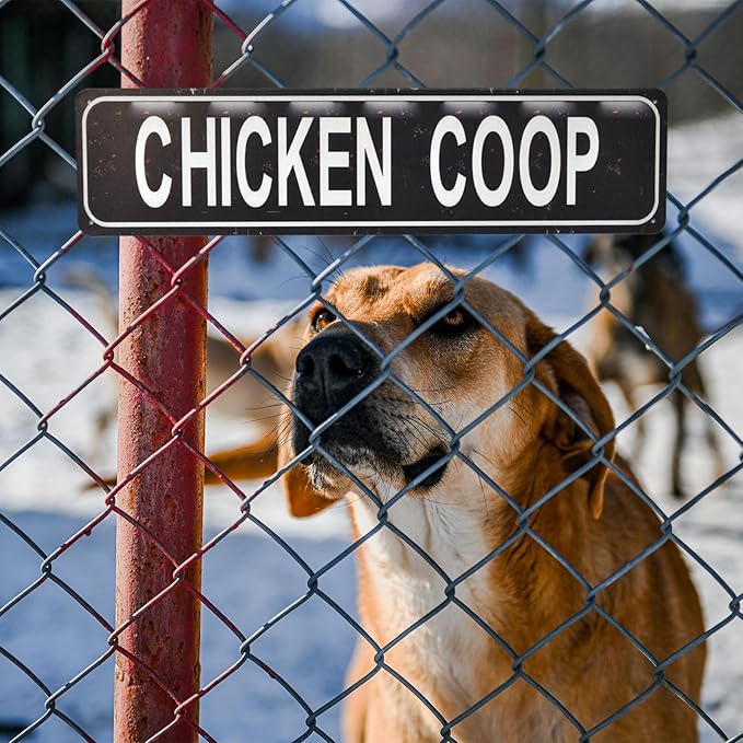 Chicken Coop Retro Metal Tin Sign - Duck Waterfowl Chicken Coop Decor, Rustic Street Sign, Door Name Plate Plaque for Farmhouse Pub, Bar, Home Wall Art 16x4 Inch (black)