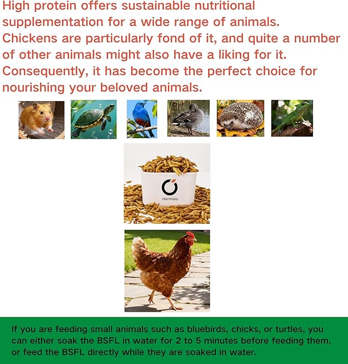 10LB Non-GMO Dried Black Soldier Fly Larvae - High Calcium 4.2-4.5% (More Than Mealworms) & 36-43% Protein, 100% Natural Treat for Chickens Strong Eggshells & Immune Support