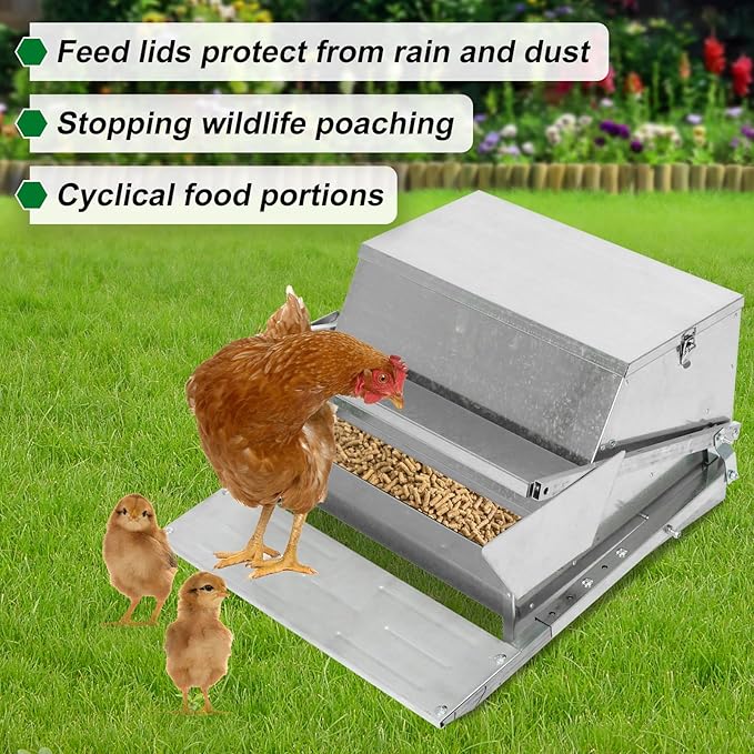 Confote Large Automatic Chicken Feeder Box 20 lbs Galvanized Metal Feed Chicken Feeder Sturdy Galvanized Steel Poultry Feeders - No Spill with Weatherproof Lid for 6-12 Chickens