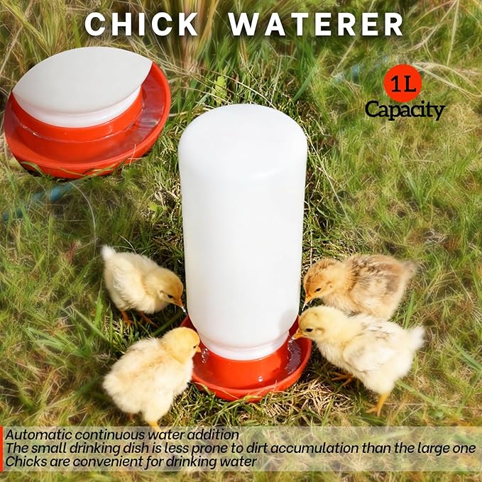 Chick Feeder and Waterer Kit,BrTurkey Duck Quail Poultry Feeder,Brooder Coop Supplies for Poultry,Included 5 Components